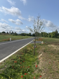 A SAINT-CHRIST-BRIOST - Terrain à Bâtir - Choix de 12 Lots de 504 à 621 m² - Prix : 35 €/m2