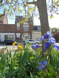 Maison - ROISEL (ref : J0004)