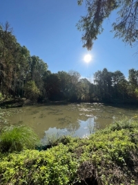 BIEN RARE - A DECOUVRIR SANS TARDER - Bois de 3 hectares avec étang  (réf : B0028)