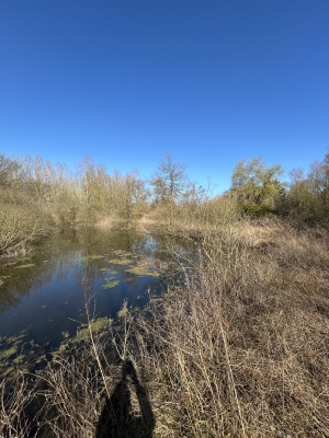 ETANG Le grand Marais - A CARTIGNY (réf : L0118) - Prix : 34 000 €