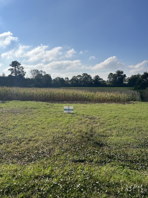 Campagne immédiate de Péronne - Terrain à bâtir avec bâtiment viabilisé - (réf : G0130) - Prix : 39 000 €